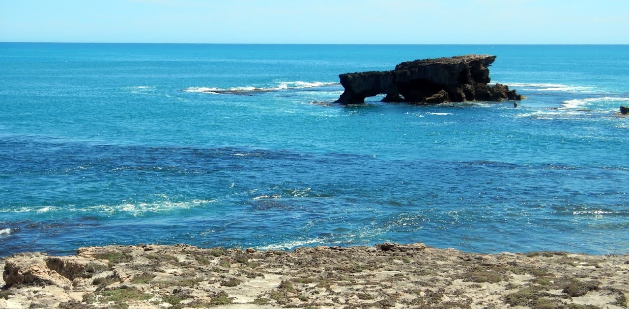 aussiesea
